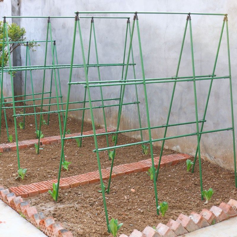 新款黄瓜豆角架爬藤架杆花架庭院支撑架植物家用种菜架固定攀爬户