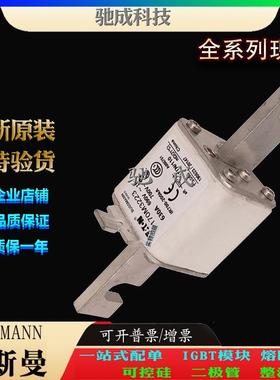 巴斯曼170M3223 170M3228 170M3229 长期销售价优 方体熔断器