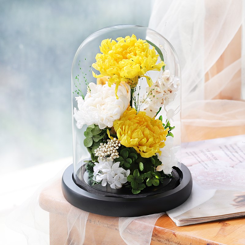 永生花菊花干花真花不凋谢的鲜花花束玻璃罩摆件清明节忌祀用品