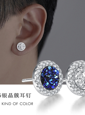 晶簇超闪耳钉男s925银潮流个性学生耳饰简约气质女高级感2.024新