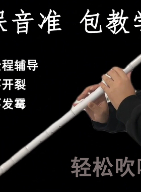 洞萧乐器仿玉树j脂白色初学入门不开裂F古风八孔G调萧水管长笛教