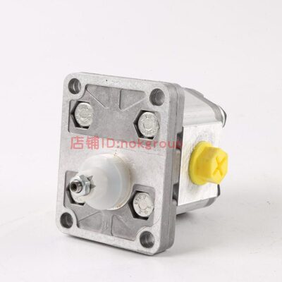 16G348A170BBOOLDNDI0HPG3 意大利 LP0齿轮泵1801DD0I