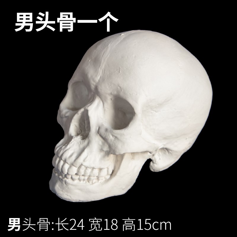 素描石膏几何体美术石膏像写生模型摆G件16个大号静物教具金金小