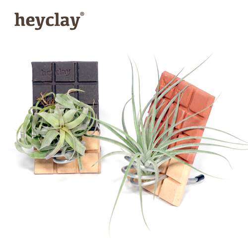 heyclay巧克力空凤小板|手工原创空气凤梨桌面摆件空凤支架
