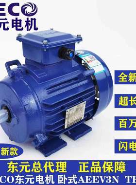 TECO东元电机 东元马达 TEV3系列 GB3/IE3能效 AEEV3N040001YWE--