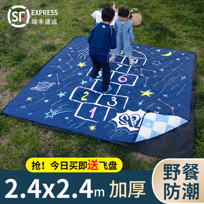 240240防潮垫野餐垫加厚帐篷地垫防水可机洗2.4M户外露营大垫子