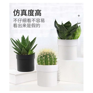 跨境假盆栽隐蔽存钱罐藏私房钱储物保险箱收纳保险柜藏钥匙首饰盒