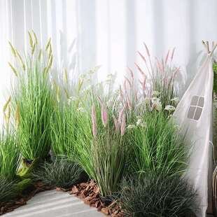 仿真芦苇草假狗尾草洋葱草盆栽露营风造景商场服装店橱窗落地装饰