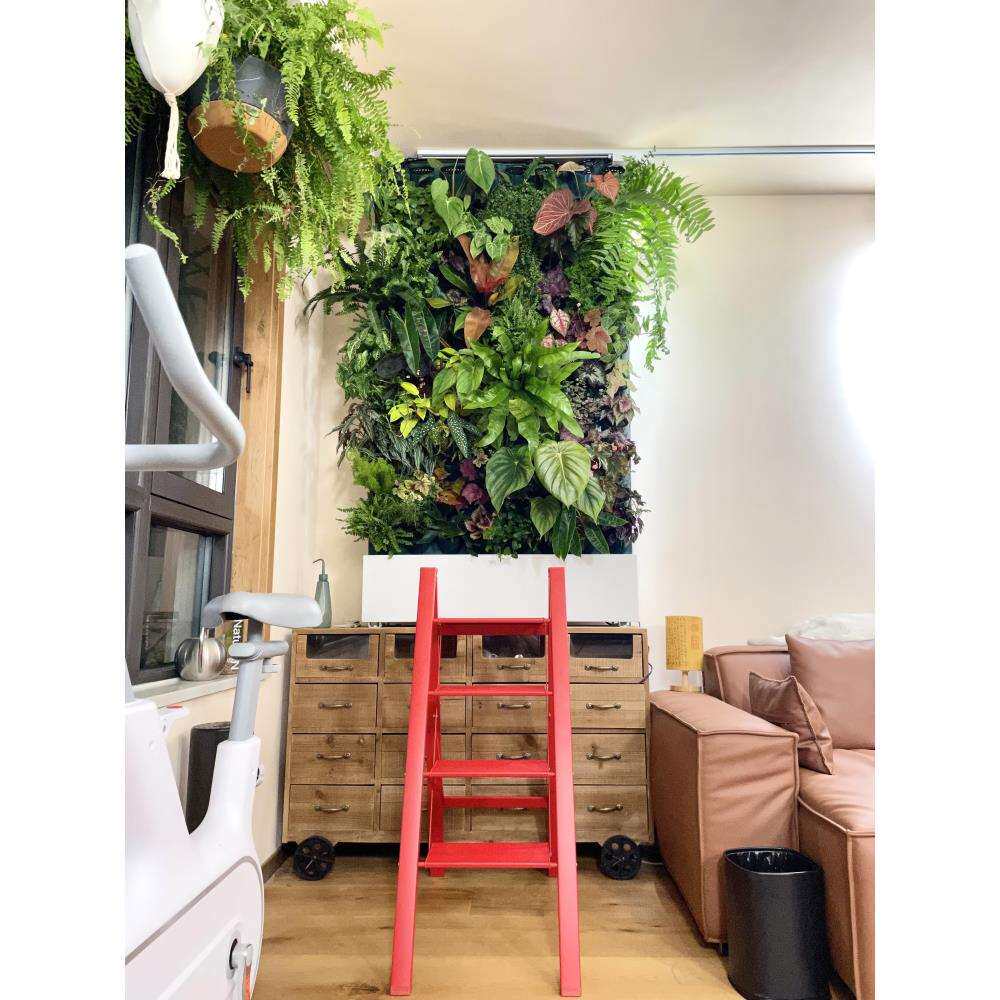 阳台自动浇水植物墙花架户外庭院多层移动蔬菜种植架绿植墙花架子