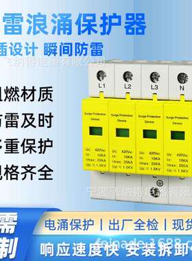 飞纳得MIGM-100一级浪涌保护器电源防雷器家用220V2P避雷电涌开关