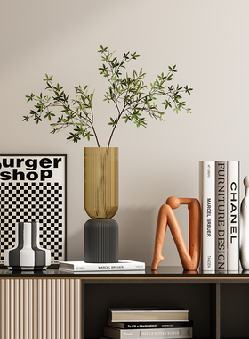 现代极简艺术高级感玄关柜软装摆件客厅悬空电视柜桌面绿植装饰品