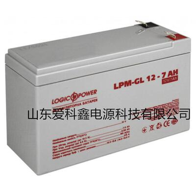 Logicpower蓄电池 LPM-GL12V-9AH 应急电源电池12V9AH