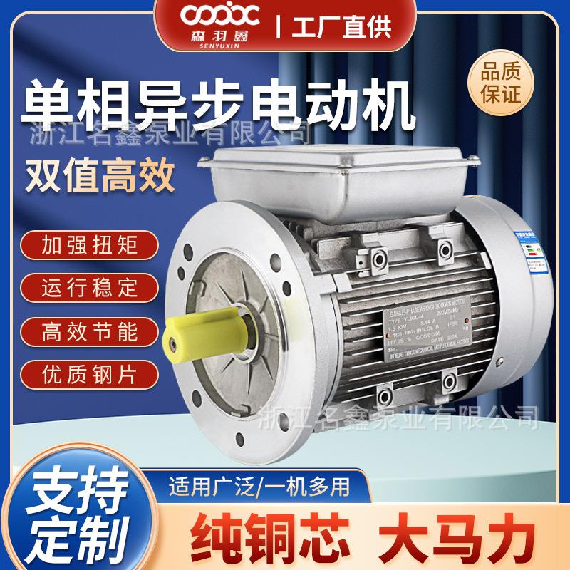 单相异步电动机370/0.75w/4级家用220V铝壳YL低速电机立式设备用