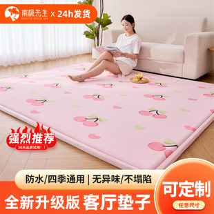 2026新款榻榻米地垫防水加厚地毯客厅爬行垫子防潮打地铺专用床垫