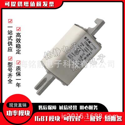 170M3014 170M3015 170M3016 170M3017巴斯曼熔断器现货170M3018