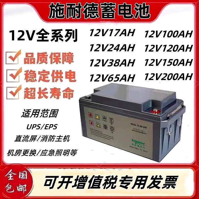 APC schneider 蓄电池M2AL12V100 24  40 65 120AH机房直流屏专用