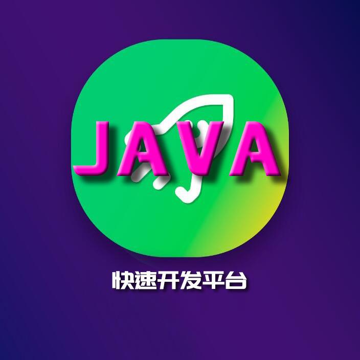 web应用快速开发平台 平台源码 前端快速开发 web快速开发平台