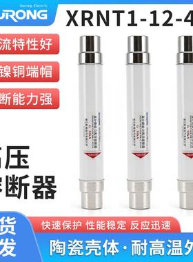 XRNT10-12KV高压限流熔断器箱变保险管丝10A20A40A50A63安80A100A