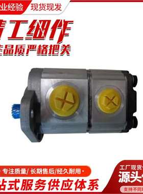 采煤机双联泵 双联齿轮泵 CBK1012/4-318R型齿轮泵