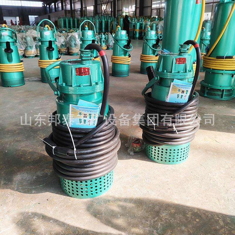 BQS15-30-4/N 无堵塞矿用防爆潜水泵 BT4等级 化工厂用排污泵380v