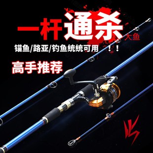威武霸气硬质远投竿打黑雷强竿插节锚鱼竿碳素路亚竿渔具
