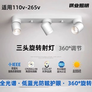 智能明装 筒灯家用过道衣帽间双头三头灯餐桌 射灯可调角度吸顶明装