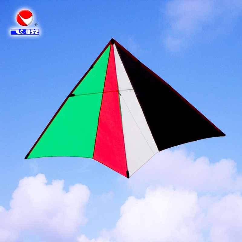 新款网红飞悦1.6小彩燕1.1小轻体风筝微风王PA31专业大人儿童风筝