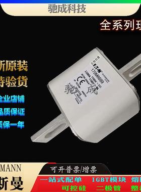 巴斯曼170M6699 170M6700 170M6701 厂价供应批零兼营 紧凑熔断器