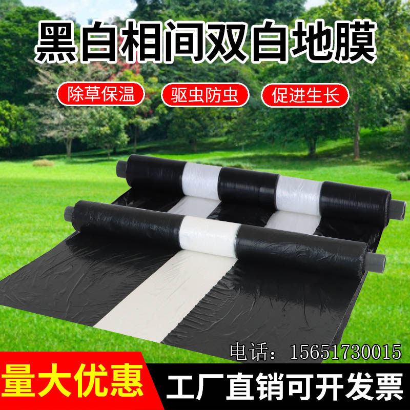 农用塑料薄膜黑白相间地膜单白双白地膜黑地膜T保温保湿除草蔬菜