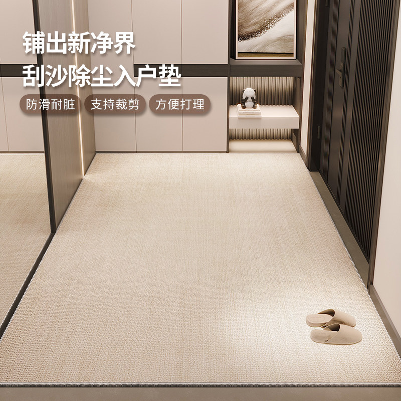 入户门地垫d室内换鞋区现代简约风进门门口玄关地毯防水防滑可裁