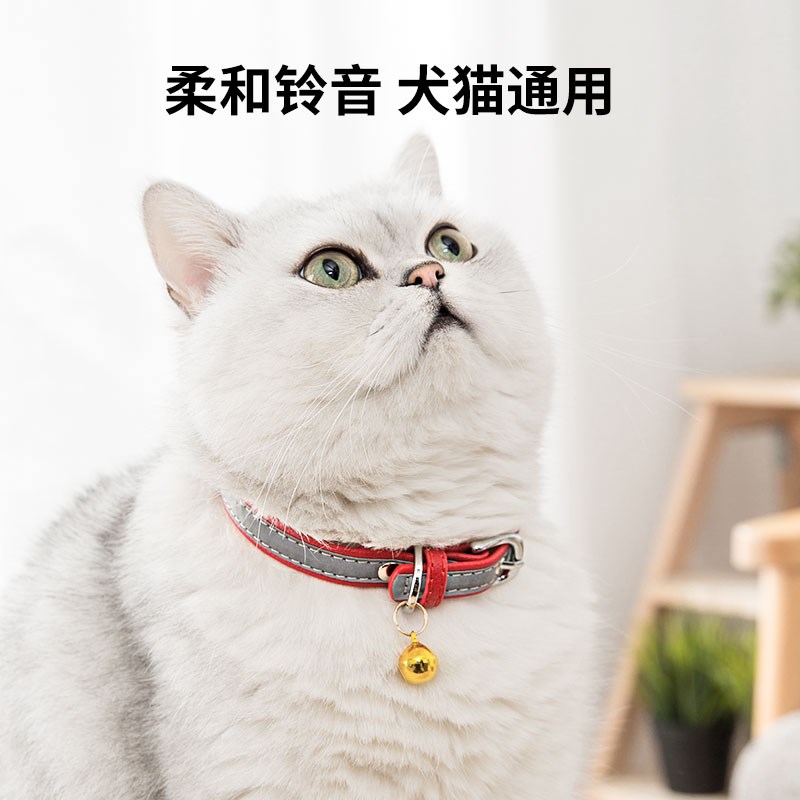 狗狗项圈中型犬小型犬狗狗铃铛狗牌定制泰迪项圈猫牌宠物狗狗用品