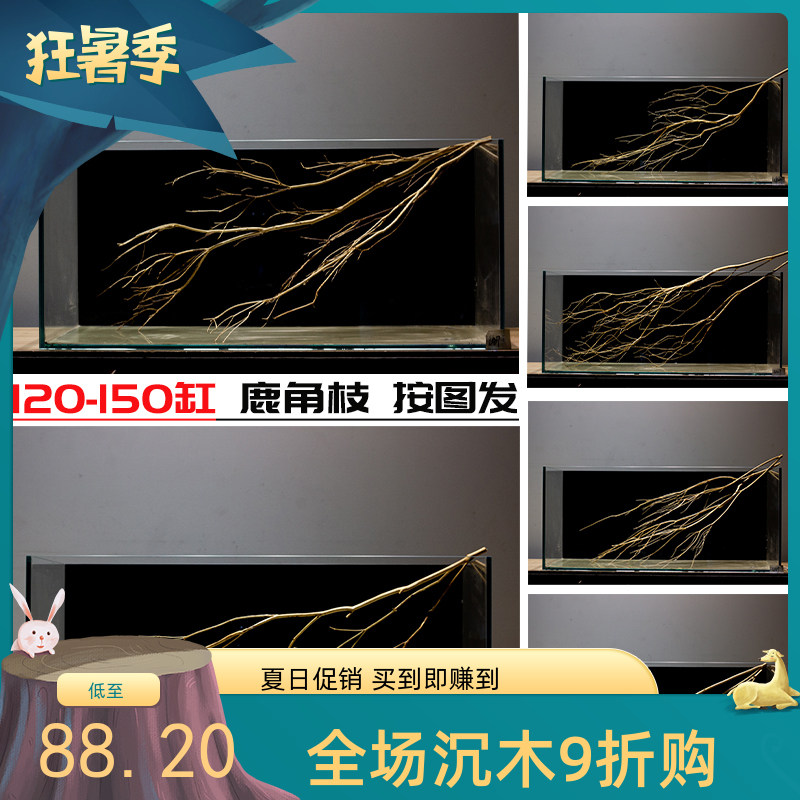 水族造景树枝南美缸布景枝条鱼缸装饰枝条鱼缸造景原生缸溪流缸,宠物/宠物食品及用品,造景/装饰,淘宝优惠券,粉丝福利购,淘宝优惠卷