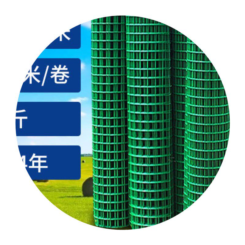 铁丝网养鸡网钢丝网拦鸡网菜园围栏钢丝塑料网格网养殖网围网