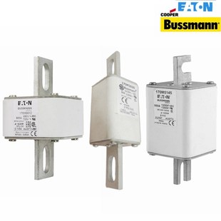 新款 巴斯曼熔断器保险丝10M302010M302110M302210M3023现货10M302