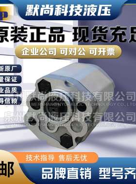 液压泵ASEDA齿轮泵SAP0.5D-0.50 / 0.65/0.80/1.00/1.30/1.60油泵