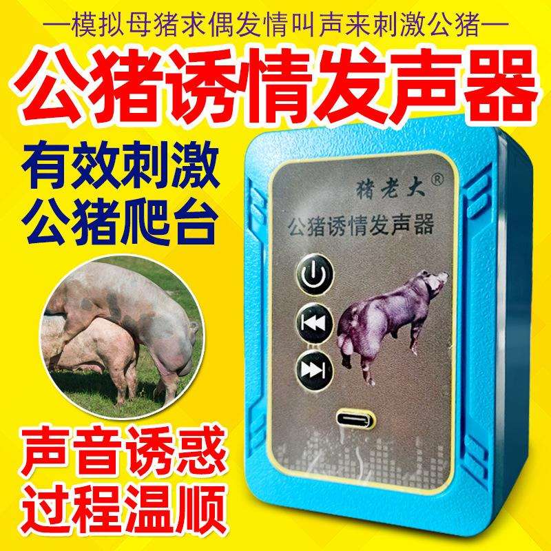 诱情发声器猪用诱情剂模拟母猪求偶声音刺激公猪采精