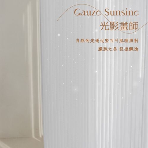 网红竖百叶纱帘白纱窗帘s雪纺纱卧室飘窗透光不透人白色窗纱梦幻