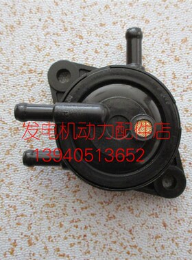 昊诚HC-310QII汽油发电机汽油泵 HC310QII燃油泵百力通双缸汽油泵