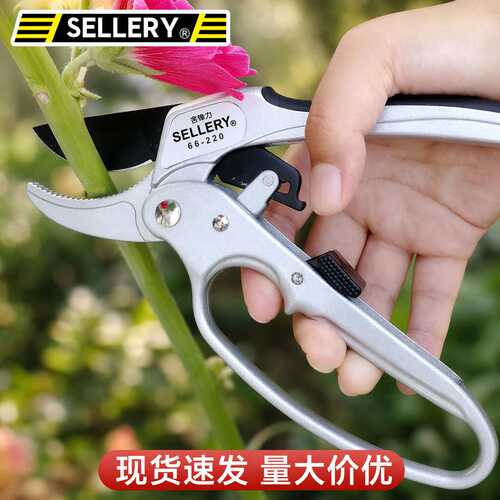 SELLERY/史拉力园艺三段式省力果树修枝剪老树枝剪花剪花枝剪刀