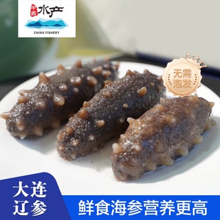 海参滋补即食鲜食海参辽刺参开袋即食海参无添加Q弹劲道新鲜500g