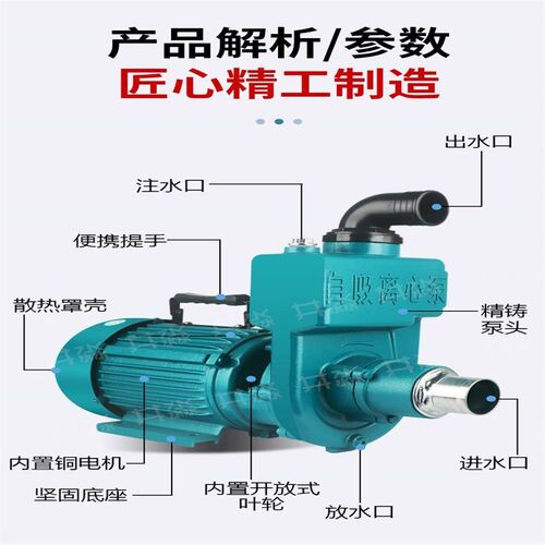 德国进口自吸水泵清污化粪池水泵家用离心泵自吸泵流量220扬程抽