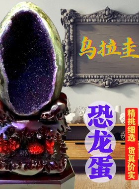 天然钱袋子大紫晶洞乌拉圭水晶洞恐龙F蛋聚宝盆聚宝原皮紫水晶摆