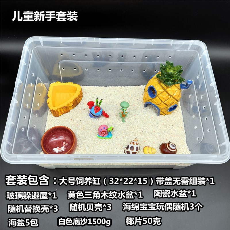 寄居蟹新手儿童套装 草莓 短腕 深紫 灰白寄居蟹 主题套装