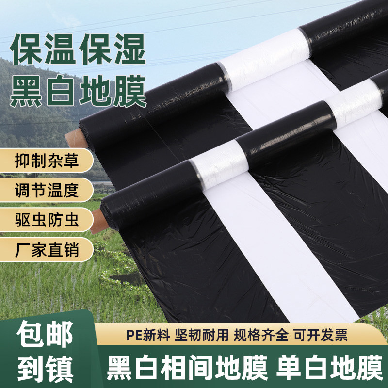 单白双白地膜农用种植黑白相间z地膜除草膜保温保湿塑料薄膜大棚