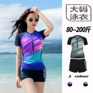 女士分体泳衣保守显瘦遮肚大码胖mm拉链微胖女孩遮肉温泉高级感女