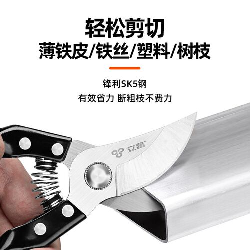 修剪树枝剪刀修枝剪果树剪花艺剪树枝专用剪刀修枝剪树枝园艺剪刀