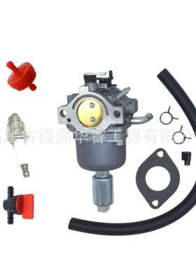 591731化油器594593 794572 796109 494572草坪机14.5hp- 21HP