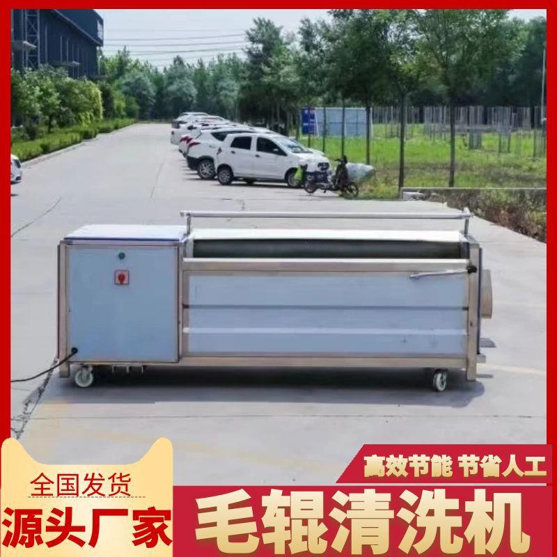 折耳根清洗机毛刷清洗机商用洗天麻的机器马蹄荸荠毛辊清洗去皮机