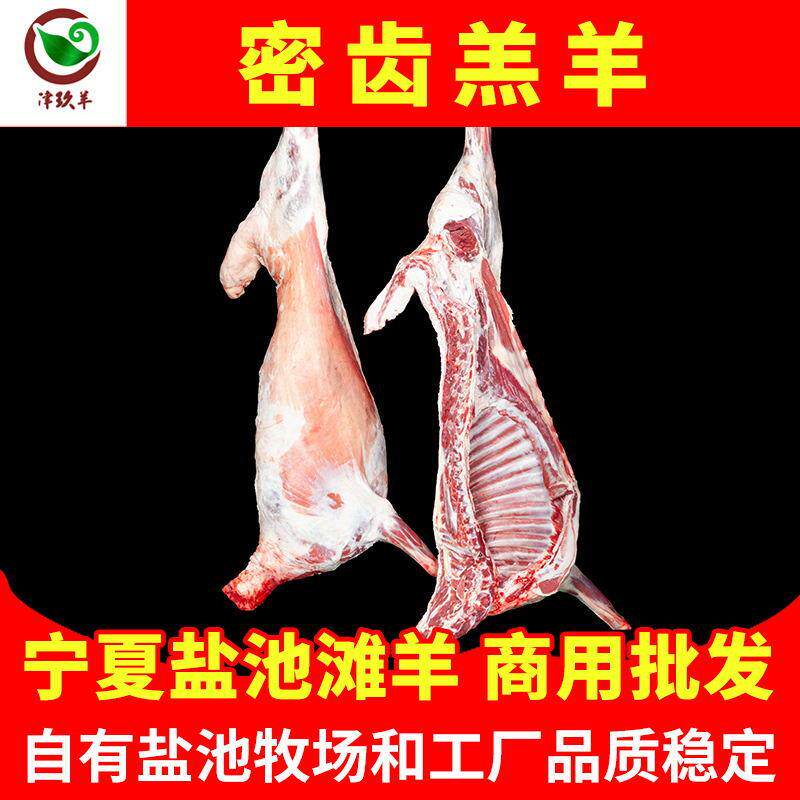 宁夏津玖羊盐池滩羊密齿羔羊肉白条全羊肉整只烧烤食材生纯肉