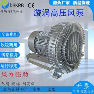 18.5KW高压鼓风机RB 3漩涡气泵一级能耗防爆高压风机 93D